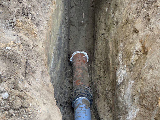Best Professional water damage repair  in Frenchtown, MT