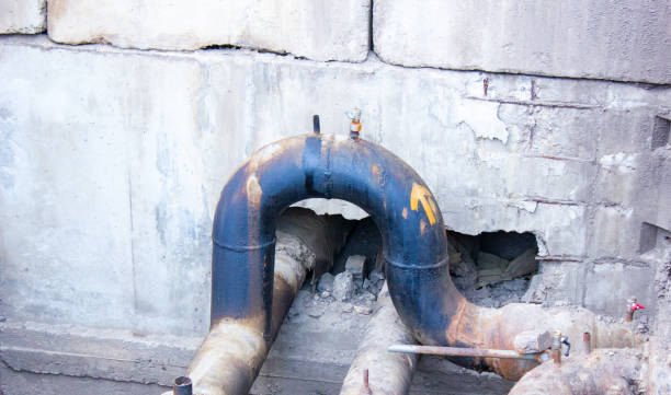 Best Carpet water damage restoration  in Frenchtown, MT